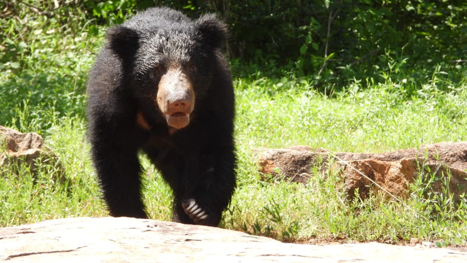 Yala National Park